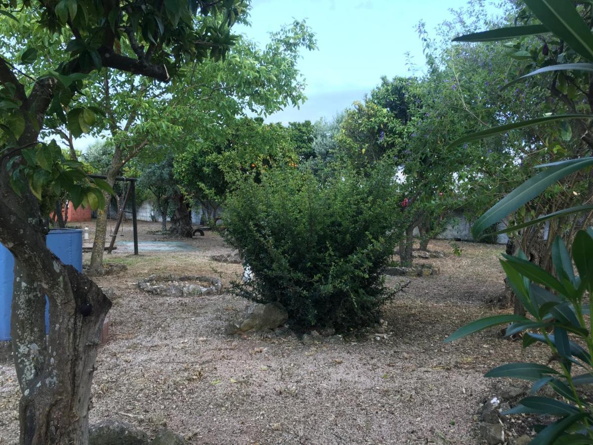 Quinta Do Lagar De Sao Jose Konuk evi Paialvo Dış mekan fotoğraf