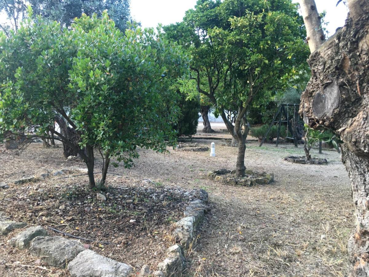 Quinta Do Lagar De Sao Jose Konuk evi Paialvo Dış mekan fotoğraf