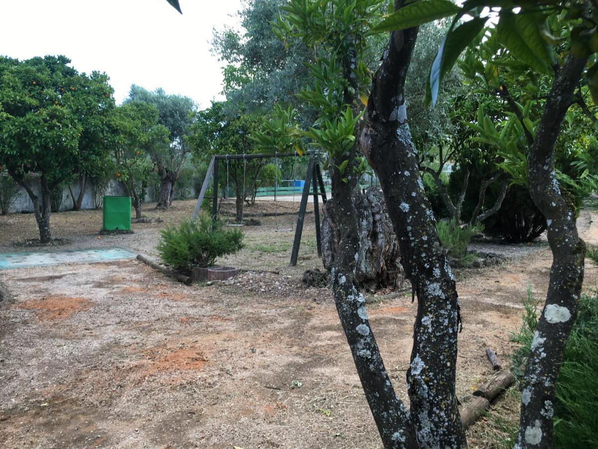 Quinta Do Lagar De Sao Jose Konuk evi Paialvo Dış mekan fotoğraf